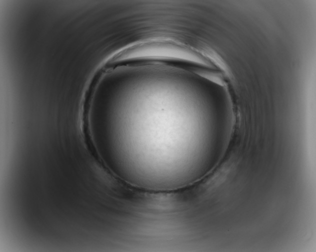 X0000088851020200706151713