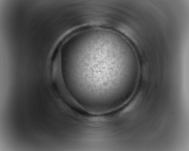 X0000088851021200706151713