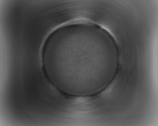 X0000088851022200706151713