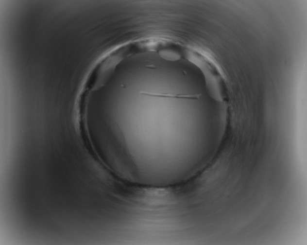 X0000088851024200706151713