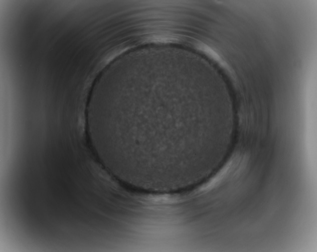 X0000088851025200706151713