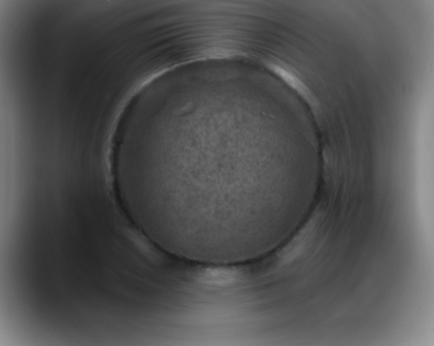 X0000088851026200706151713