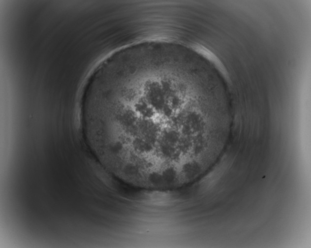 X0000088851027200706151713