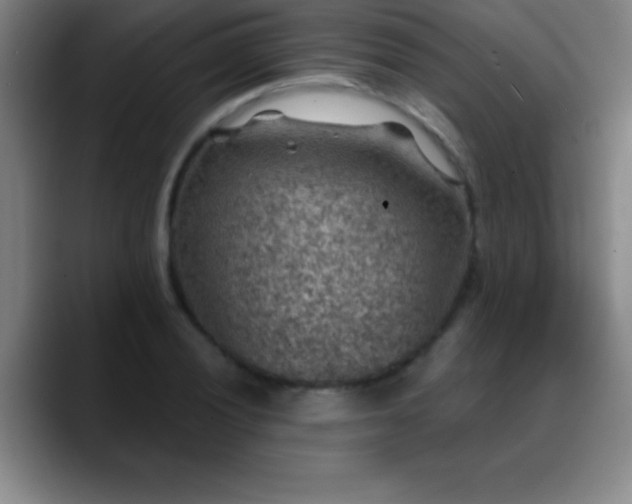 X0000088851028200706151713