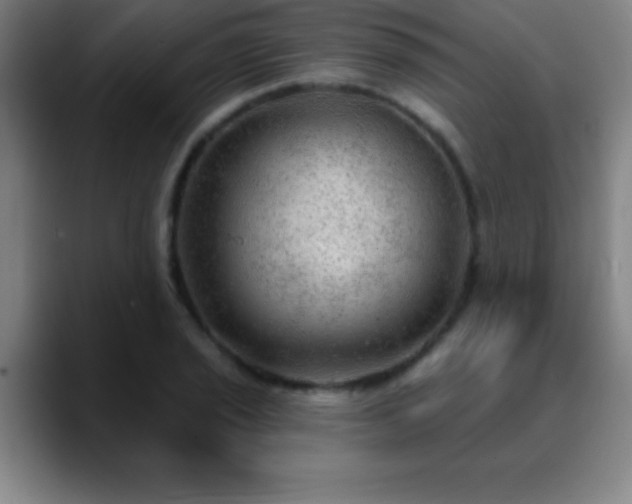 X0000088851029200706151713
