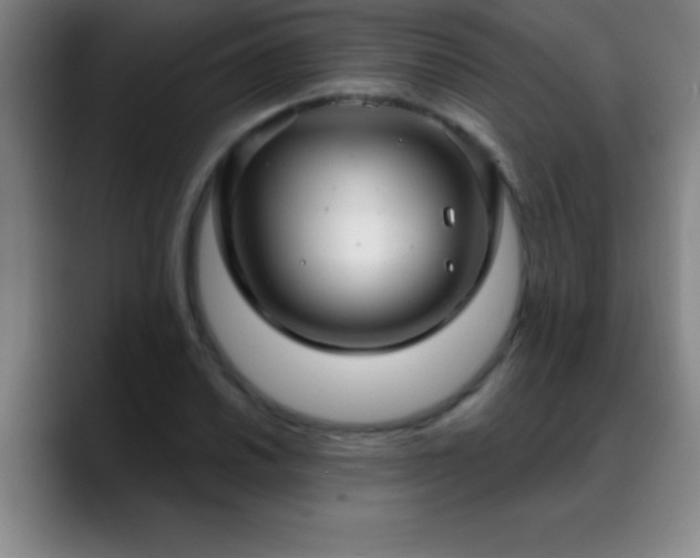 X0000088851030200706151713