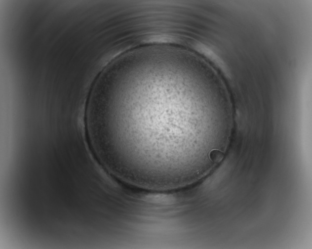 X0000088851033200706151713