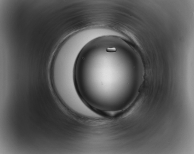 X0000088851034200706151713