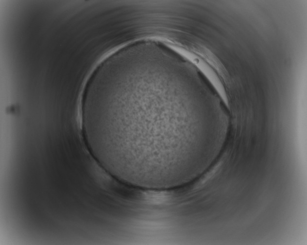 X0000088851036200706151713