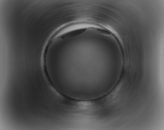 X0000088851037200706151713