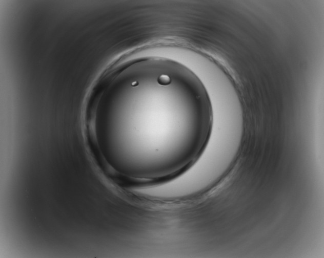 X0000088851038200706151713