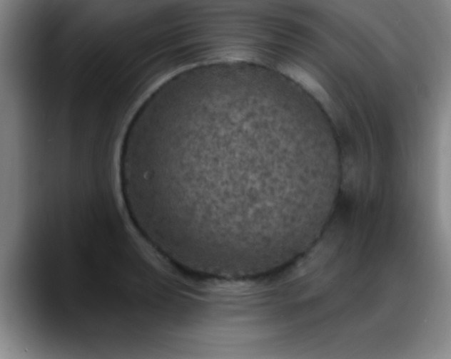 X0000088851039200706151713