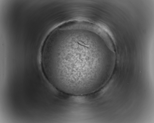 X0000088851040200706151713