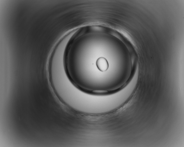 X0000088851046200706151714
