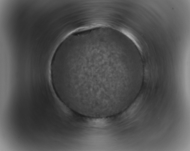 X0000088851047200706151714