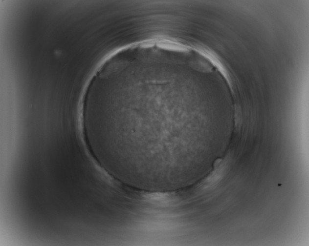 X0000088851048200706151714