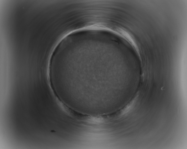 X0000088851050200706151714