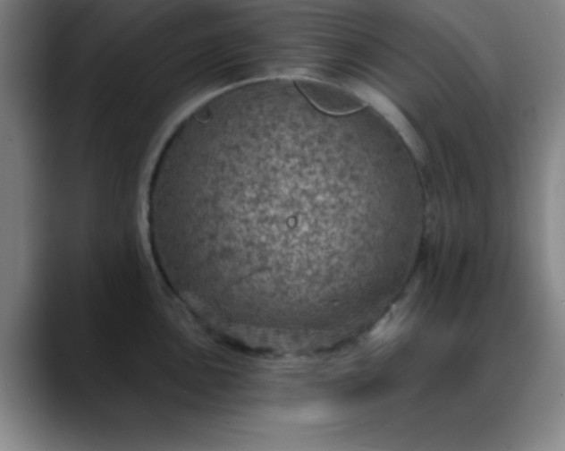 X0000088851051200706151714