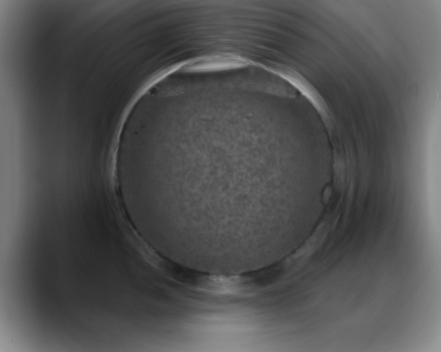 X0000088851052200706151714