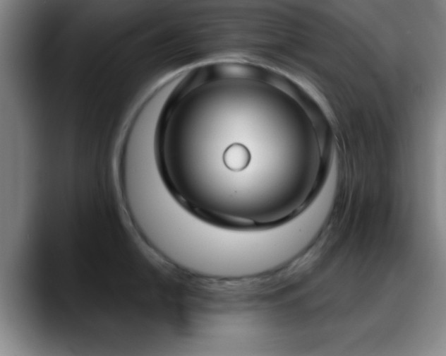 X0000088851054200706151714