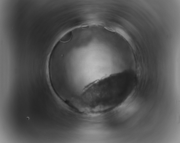 X0000088851055200706151714