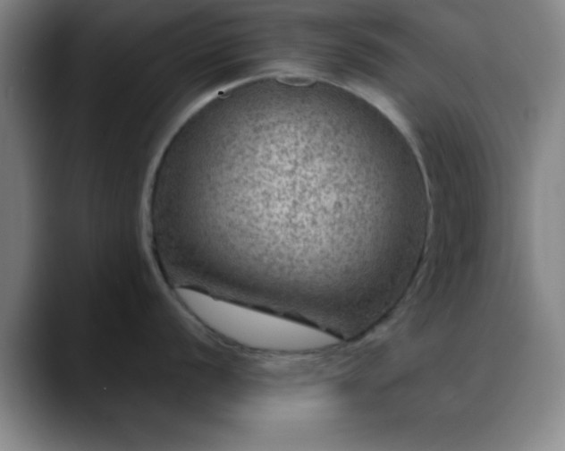 X0000088851056200706151714