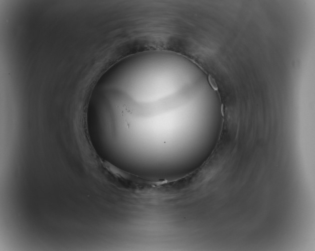 X0000088851057200706151713