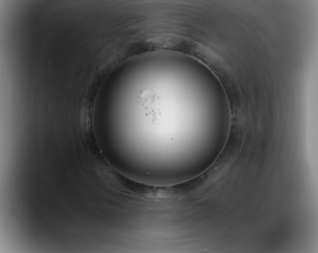 X0000088851058200706151713