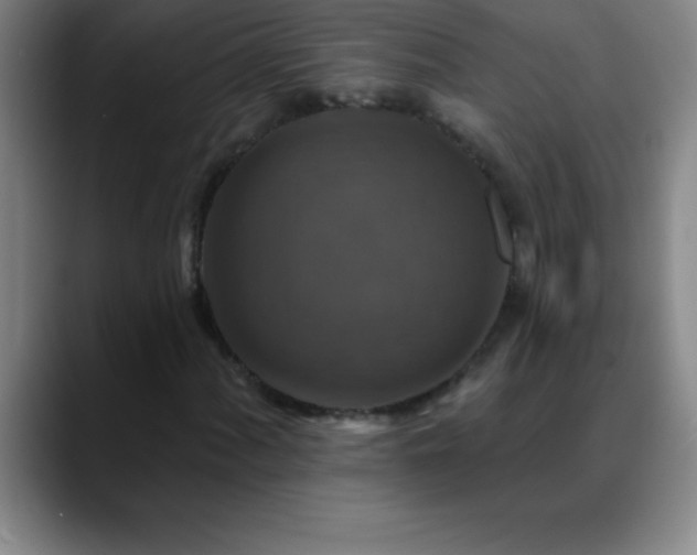 X0000088851060200706151713