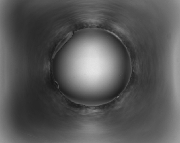 X0000088851061200706151713