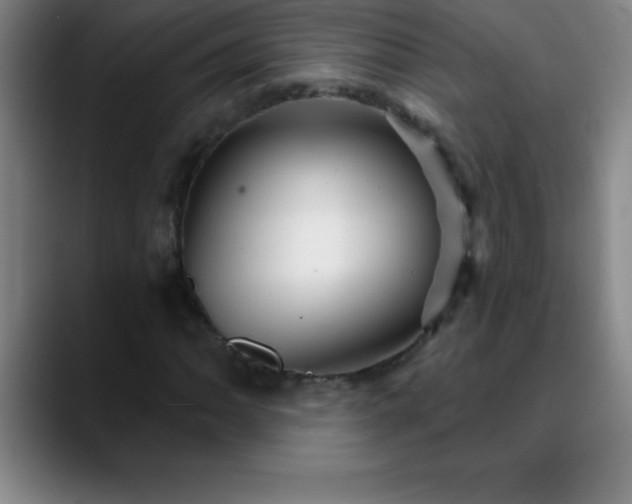 X0000088851062200706151713