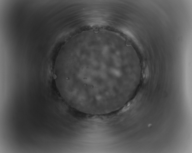 X0000088851063200706151713