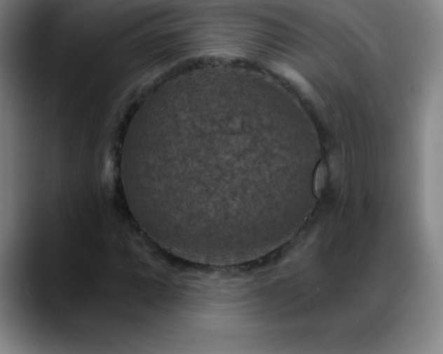 X0000088851064200706151713