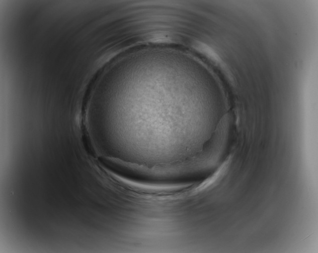 X0000088851065200706151713