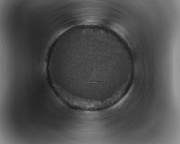 X0000088851066200706151713