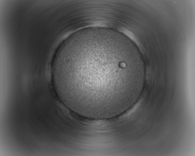 X0000088851067200706151713