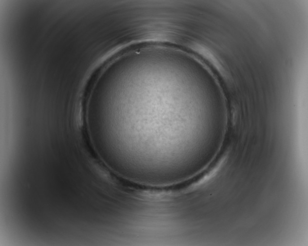 X0000088851069200706151713