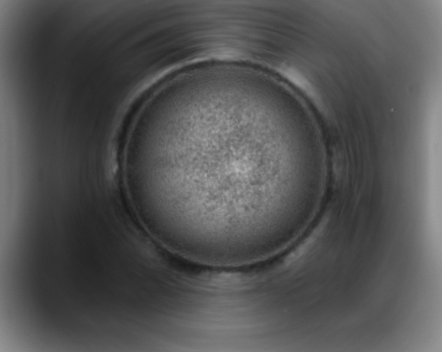 X0000088851070200706151713