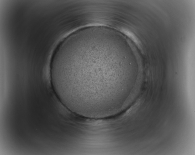 X0000088851072200706151713
