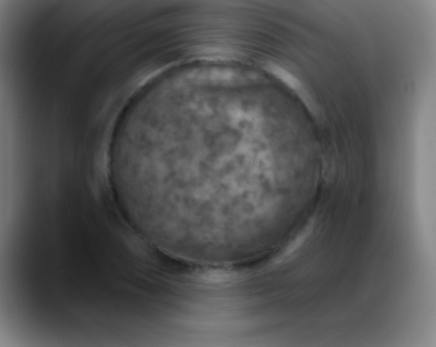 X0000088851074200706151713