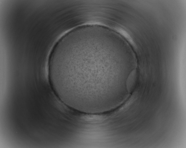 X0000088851076200706151713