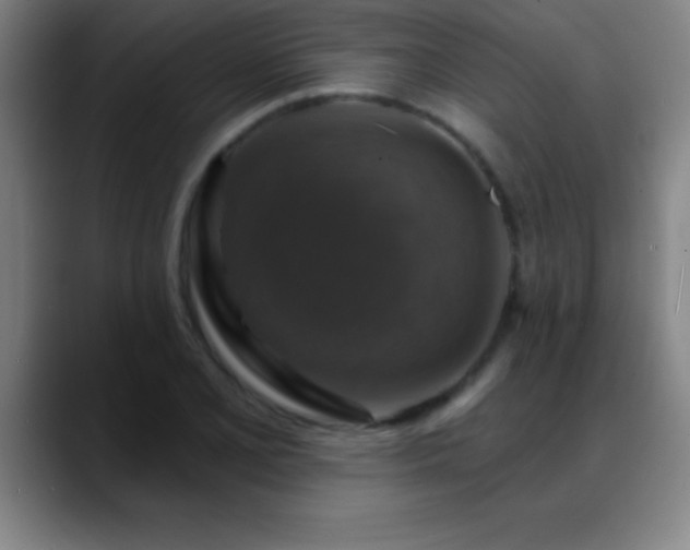X0000088851077200706151713