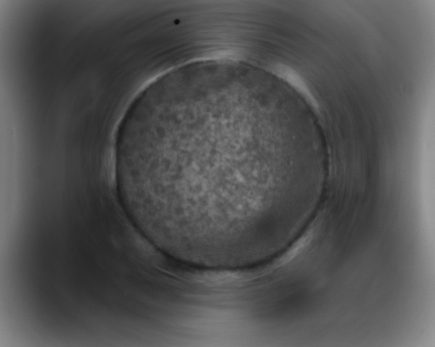 X0000088851079200706151713