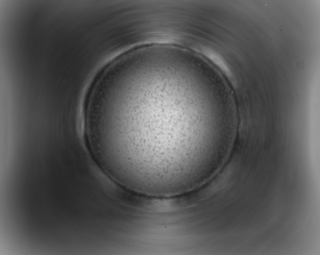 X0000088851080200706151713