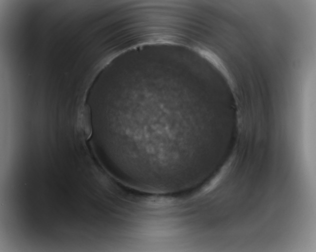 X0000088851081200706151713