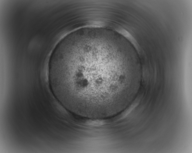 X0000088851083200706151713