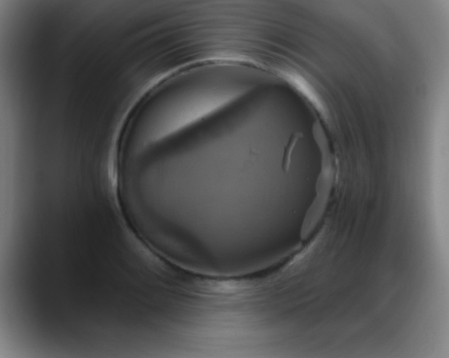 X0000088851084200706151713