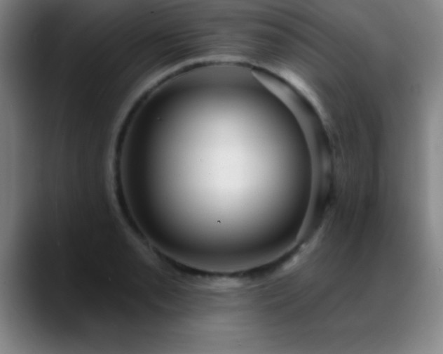 X0000088851085200706151713