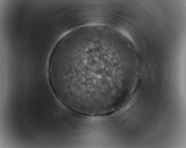 X0000088851087200706151713