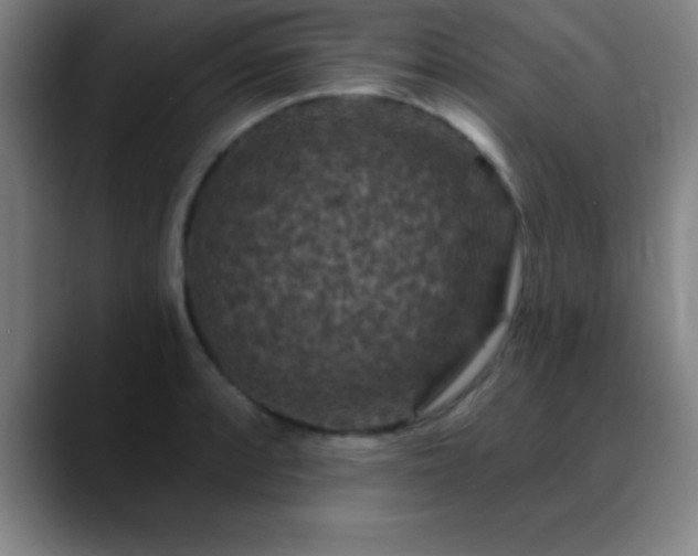 X0000088851088200706151713